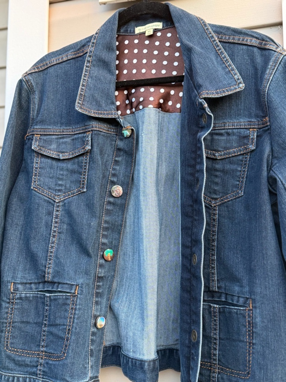 Ginger Snap Denim Jacket - Women’s HTF (sz xl)